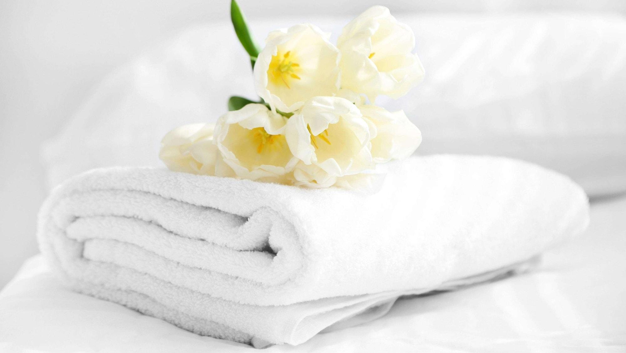 Magnuson Hotel Nashville North Goodlettsville Luaran gambar